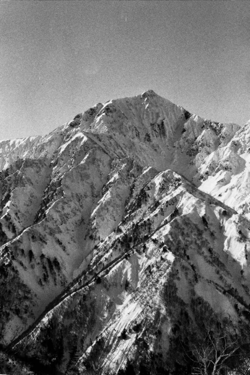 The Bohemians' Shelter Vandrerhjem Hakuba Eksteriør bilde